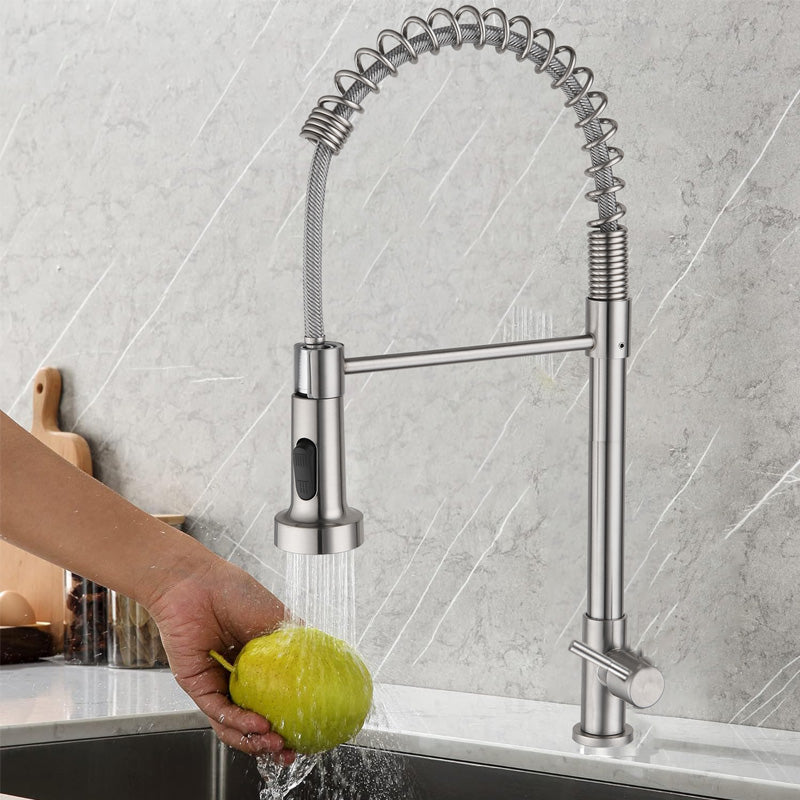 EOCO Single Handle High Arc Kitchen Sink Faucet, Spring Pull-Out Sprayer, Dual Spray Modes, Cold Water Only, Stainless Steel Construction