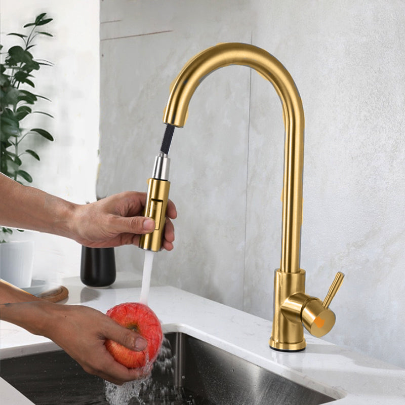 EOCO Kitchen faucet with pull-down nozzle, countertop faucet, suitable for kitchen sink or laundry sink.
